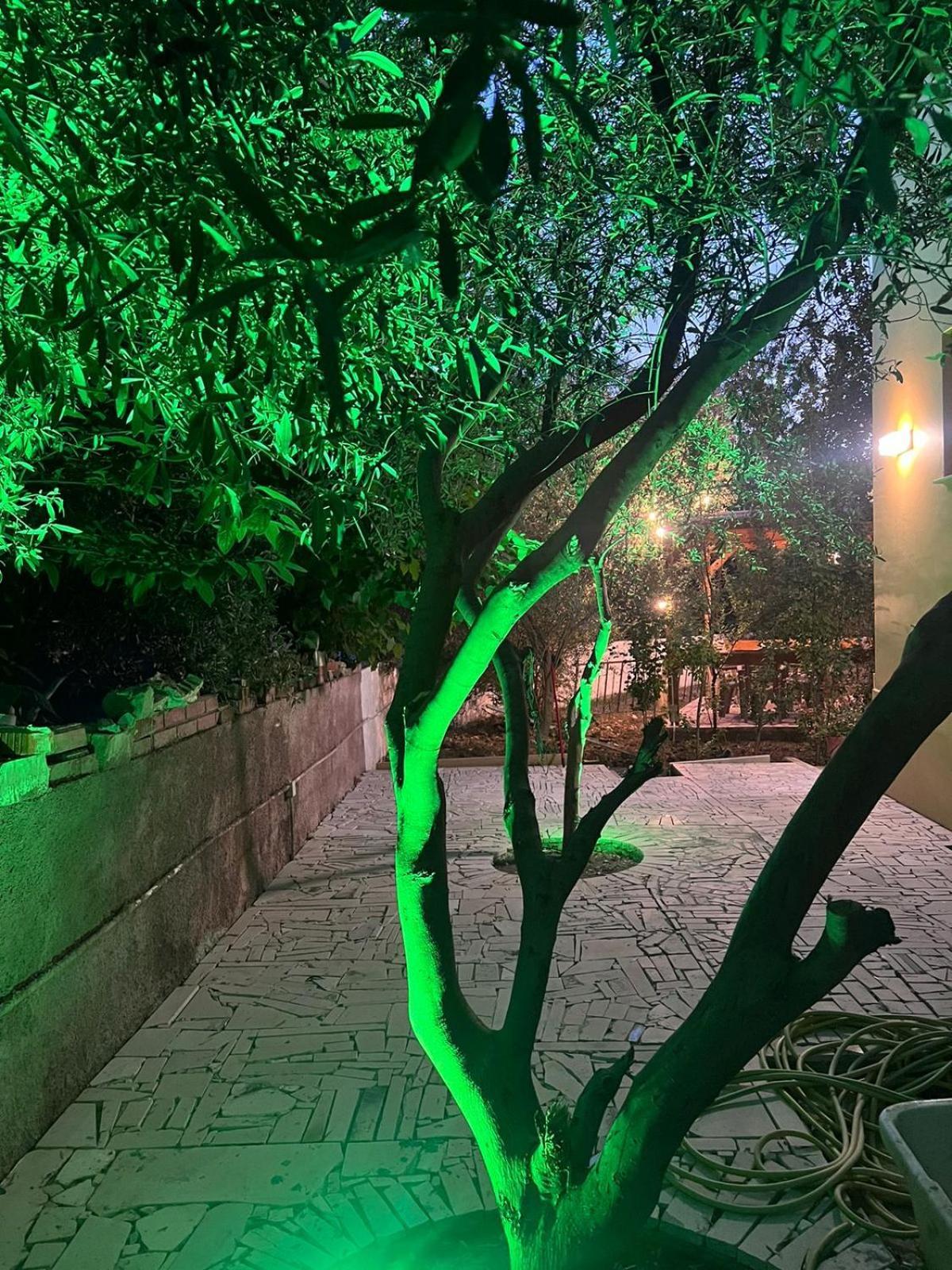 Lägenhet Magis Vlorë