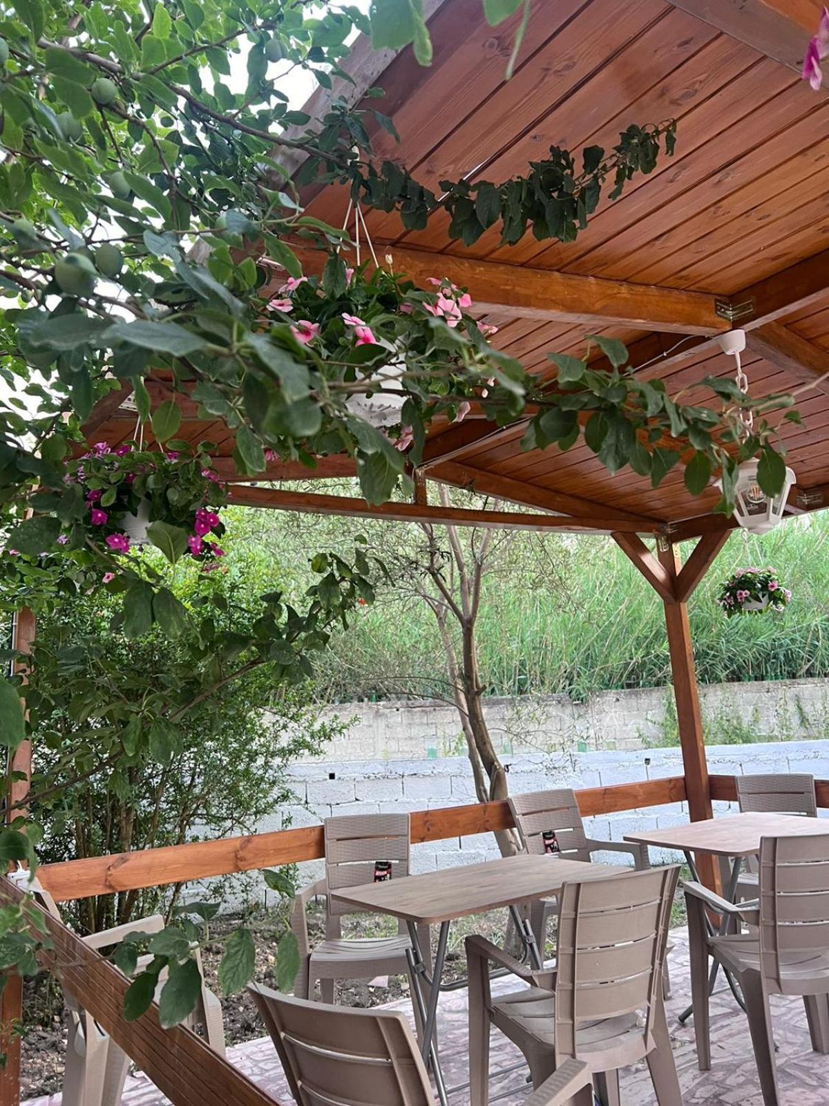 Magis Vlorë
